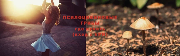 прущая мука Алзамай