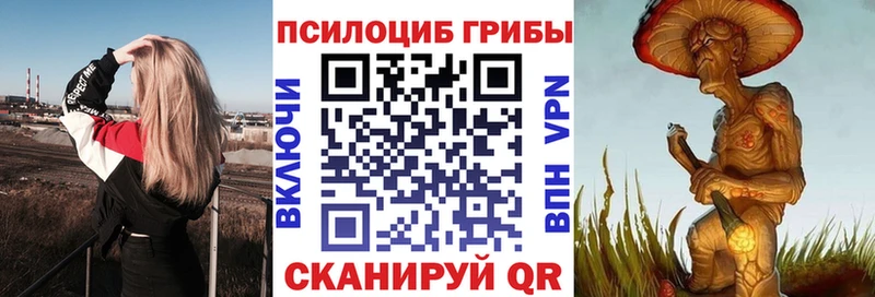 что такое   Александровское  Псилоцибиновые грибы Psilocybine cubensis 